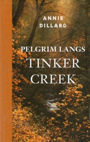 boekplaatje310