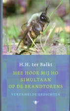 WEB PLAATJE257